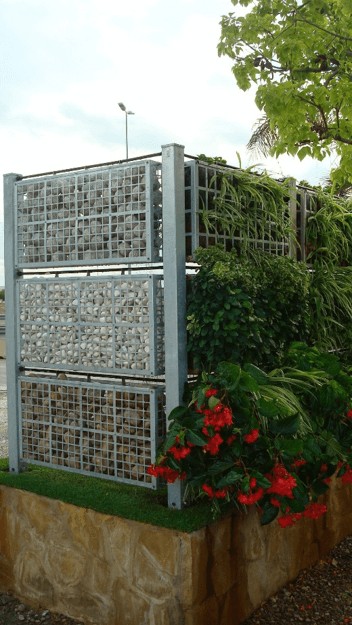 Cómo tener un jardin vertical