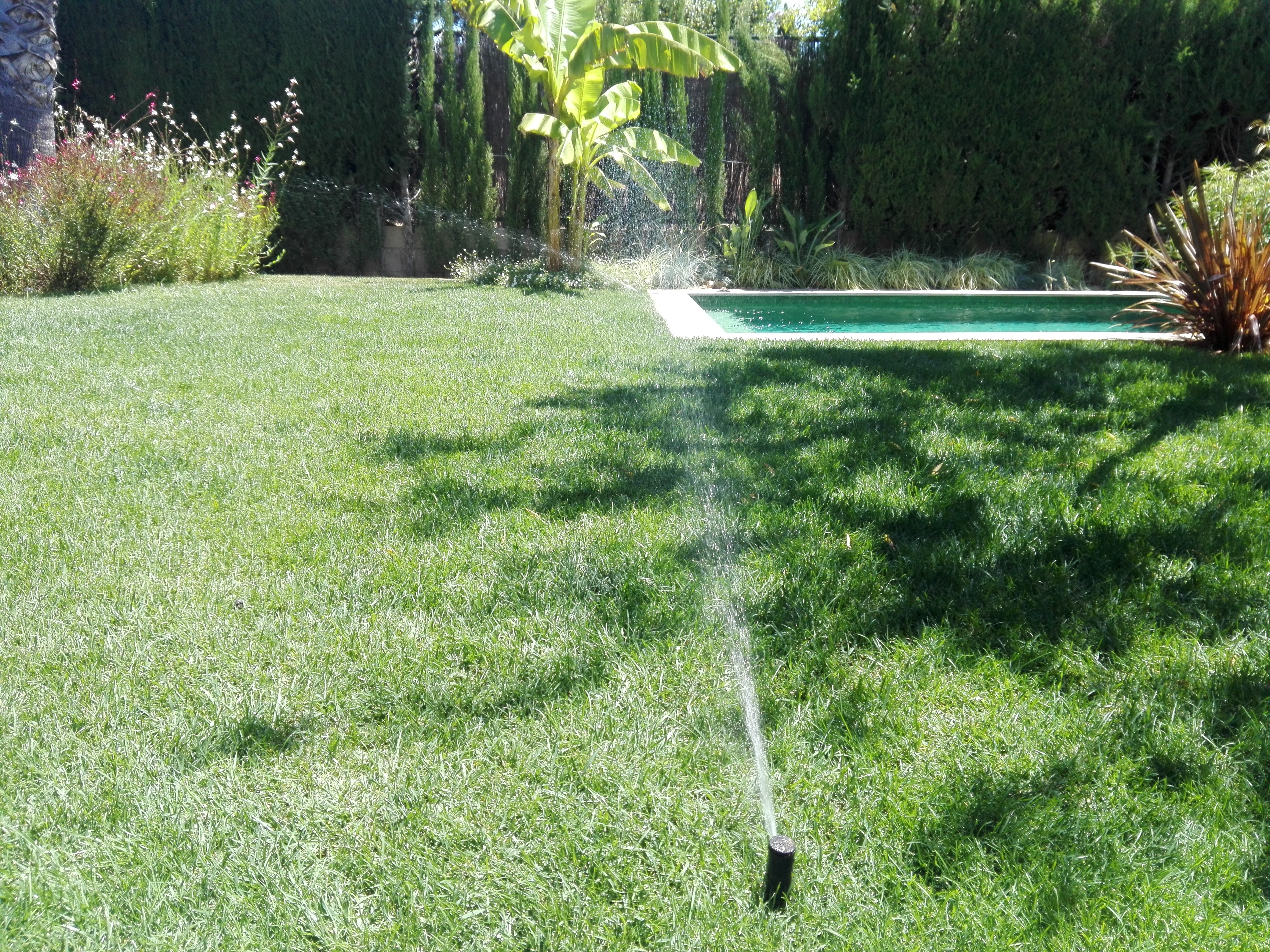 La importancia del riego en la jardinería