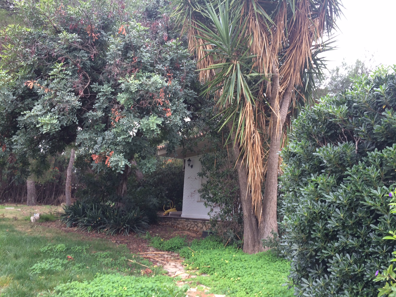 Cómo recuperar jardines abandonados
