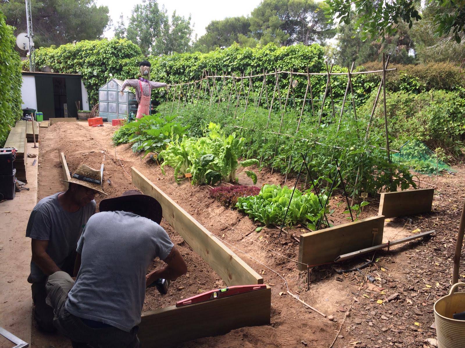 Cómo tener un huerto en el jardín de tu casa