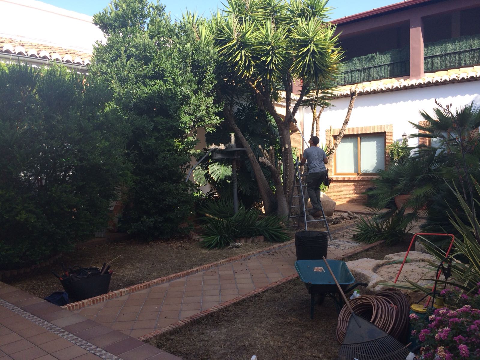Césped en Valencia – Jardines con Vida