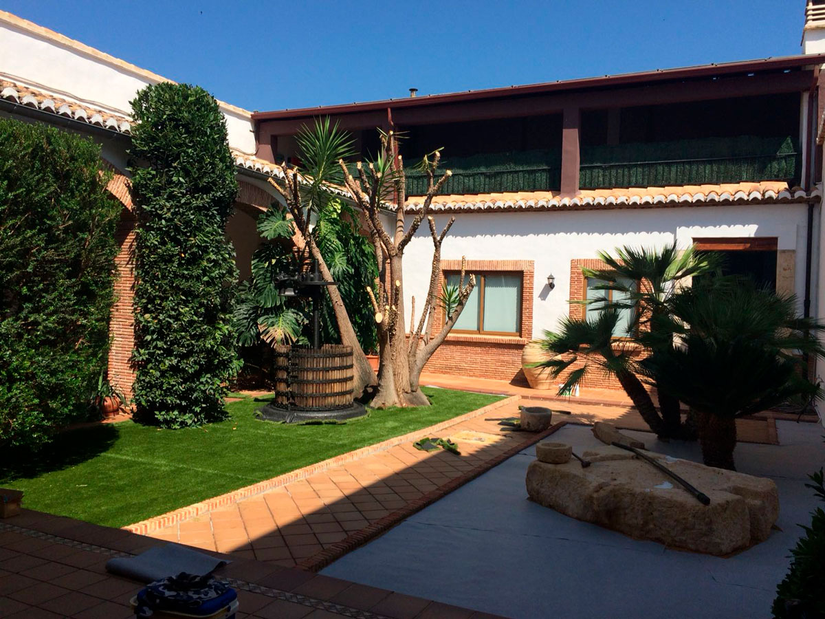 Césped en Valencia – Jardines con Vida