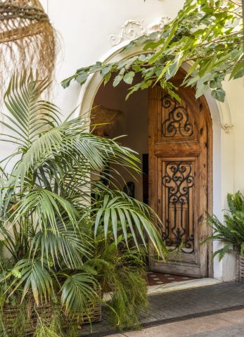 jardin-LaSalita-mariamira-75